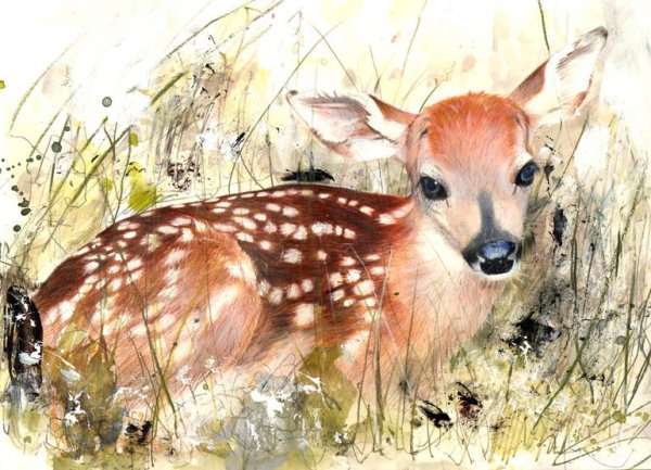 Художник Lucy Newton