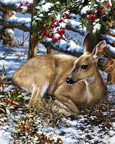 Олененок Кэмпбелл