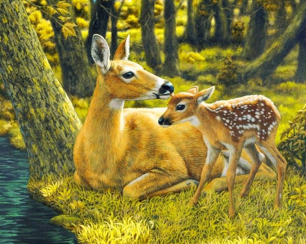 Художница Криста Форест