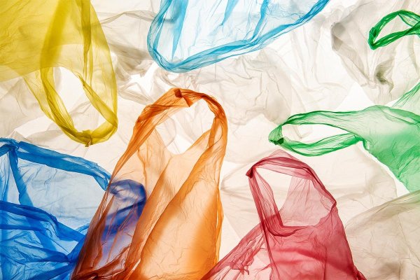 Зак Фриман картины