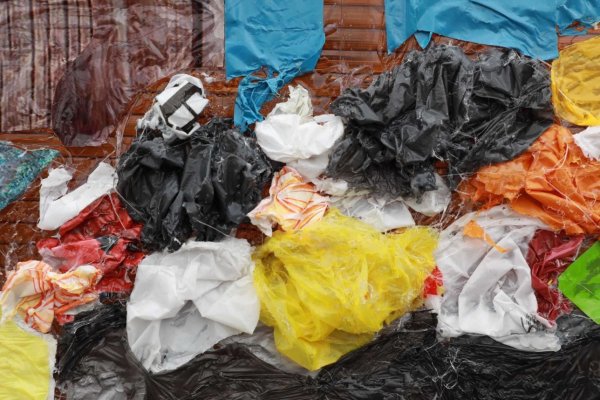 Художник Робин Элей