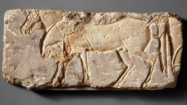 Древний Египет Эхнатон и Нефертити