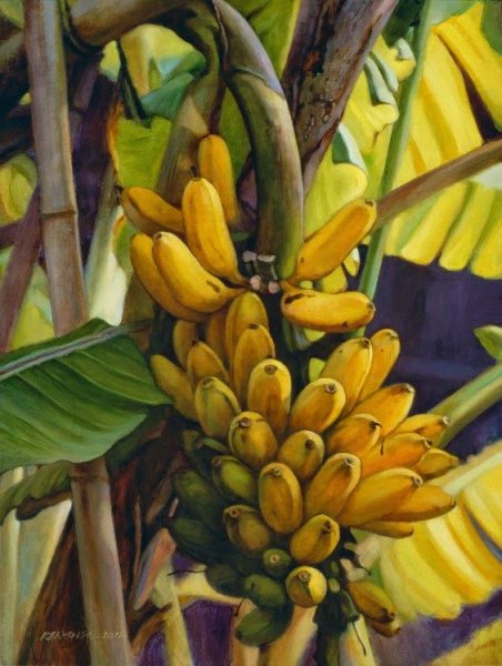 Андре дерен фрукты