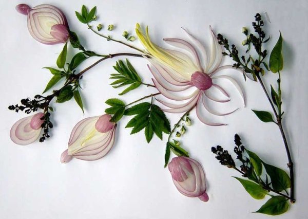 Украшения из красного лука