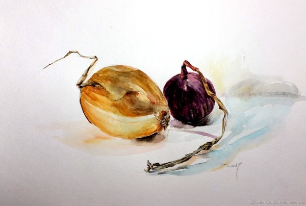 Лук Этюд акварелью