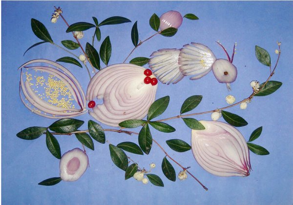 Картины из лука