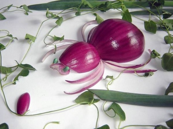 Поделки из лука