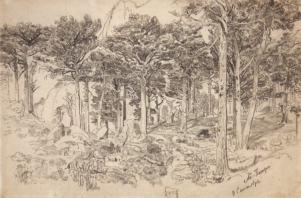 Франческо айец