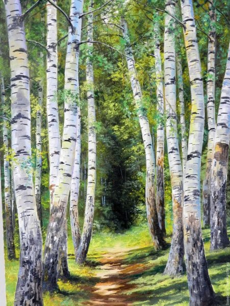 Березовая роща Алексей Епишин