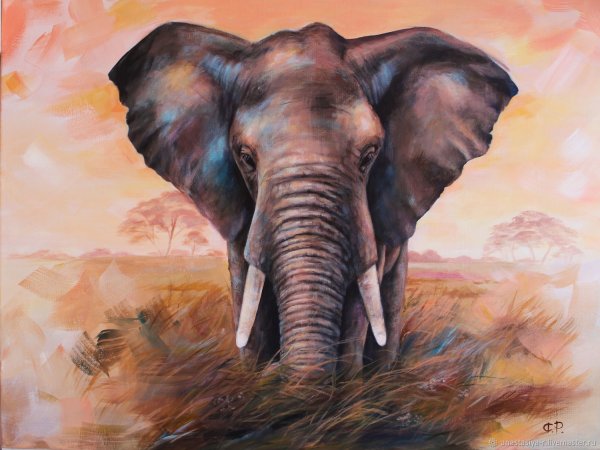 Слон картина