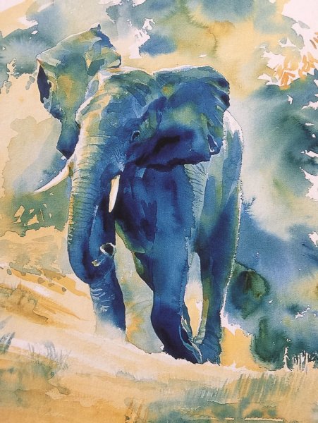 Hazel soan художник