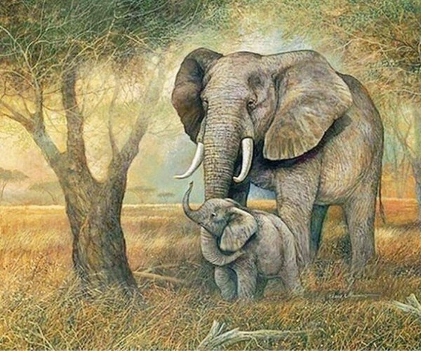 Африканские животные живопись