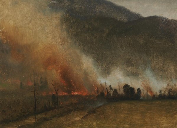 Лесной пожар живопись