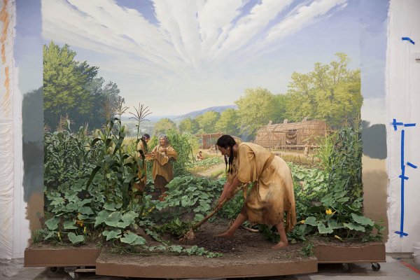 Ландшафтные диорамы в музее