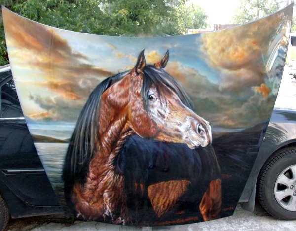 Аэрография лошади