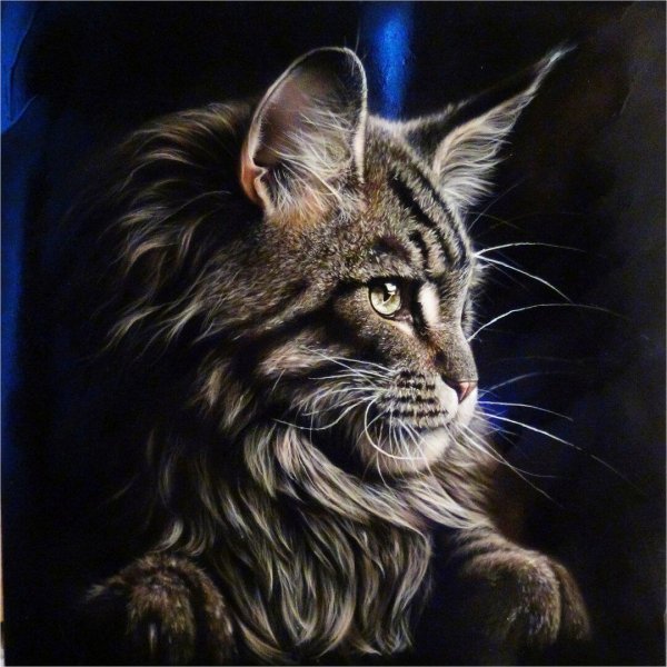 Кот аэрографом