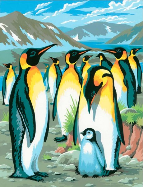 Пингвин картина