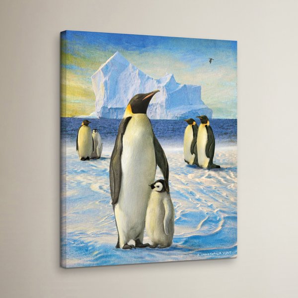 Пингвины на прогулке