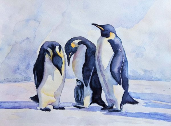Пингвины на льдинах
