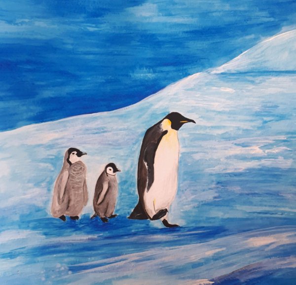 Пингвин картина