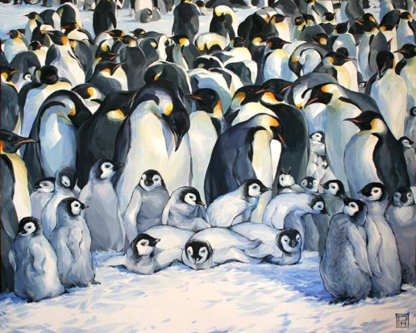 Пингвин портрет