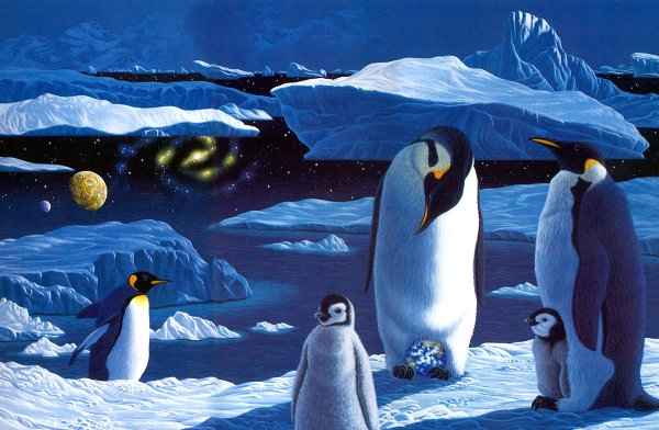 Пингвин картина