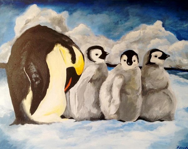 Разноцветные пингвины