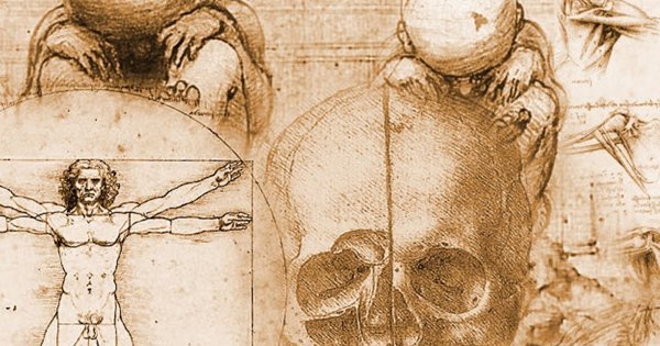 Леонардо да Винчи золотое сечение человека