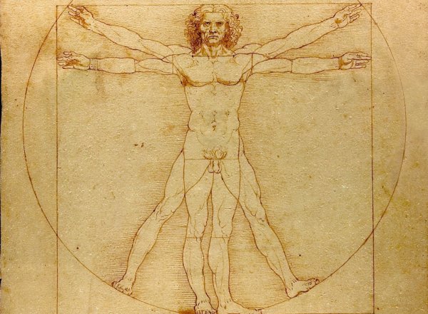 Витрувианский человек Леонардо