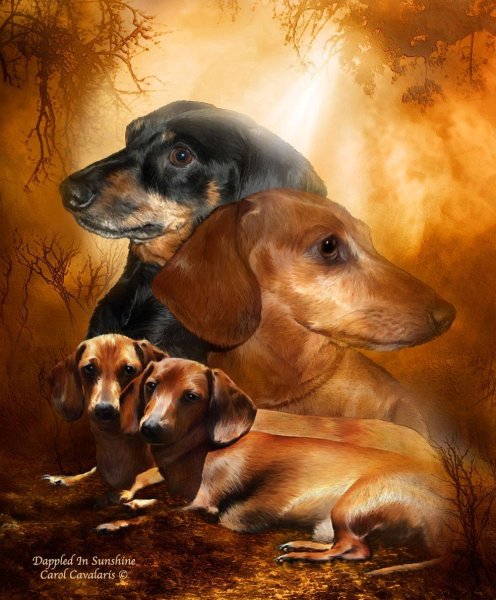 Картины с изображением собак