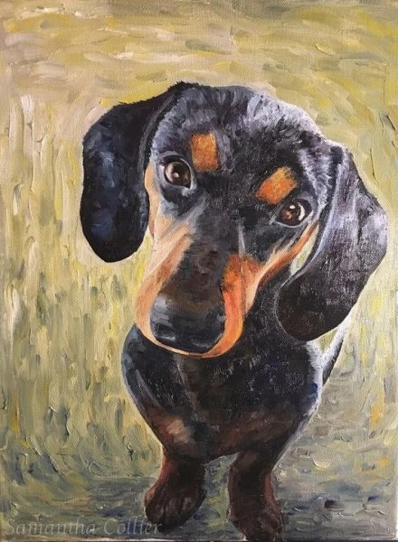 Такса картина