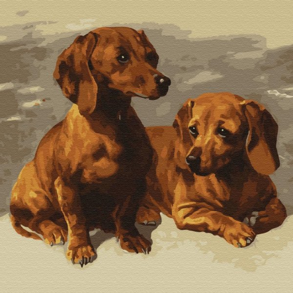 Такса пинчер