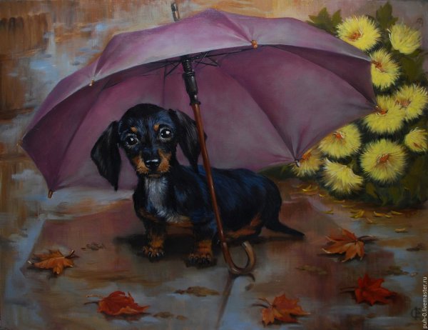 Алмазная мозаика такса