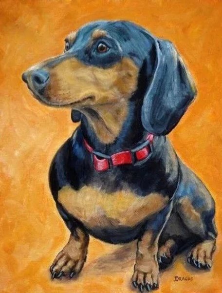 Такса картина