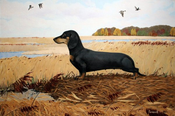 Картины с таксами художники