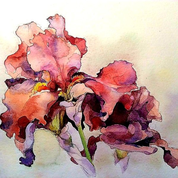 Елена Дюшан пастель