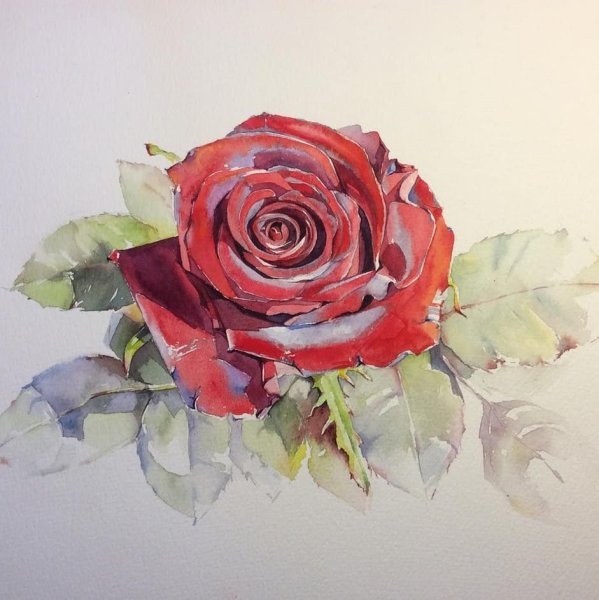 Акварели Елена Дюшан