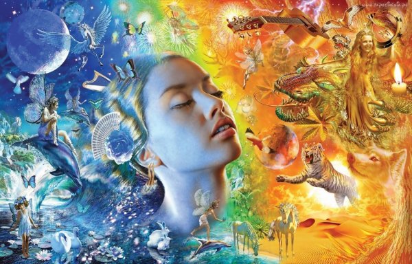 Екатерина Лисовская