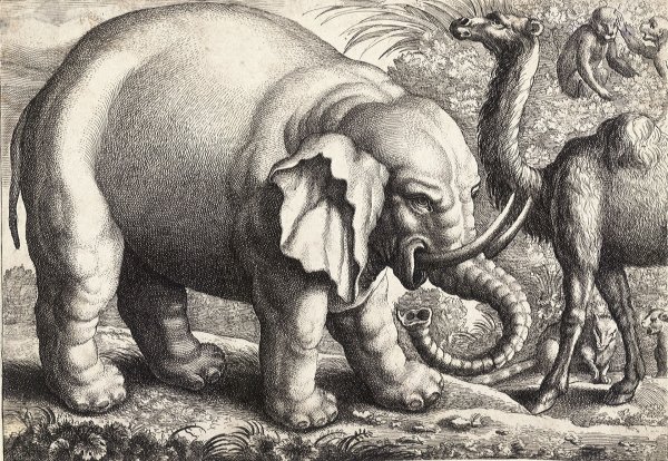 Сказочный слон