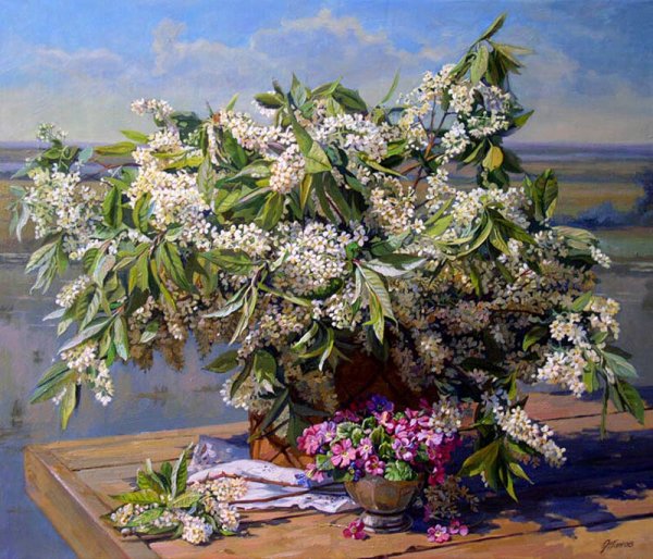 Галутва черемуха