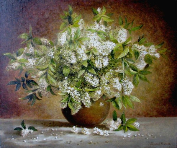 Николай Мошков сирень