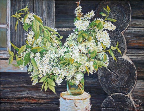 Андрияка черемуха