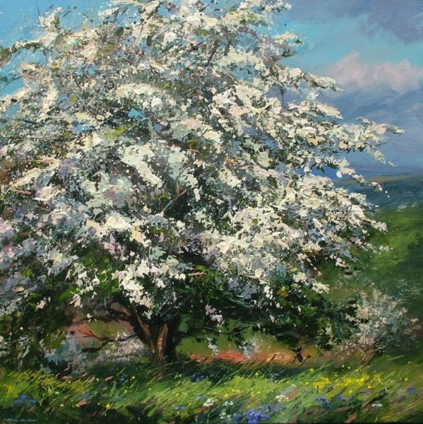 Клод Моне сирень в саду