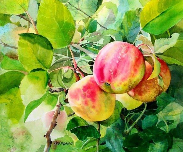 Акварельная живопись фрукты