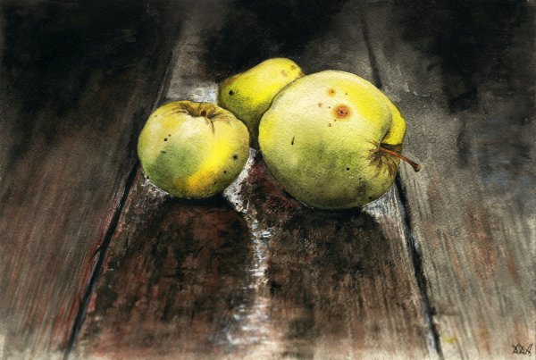 Груша акварелью Андрияка