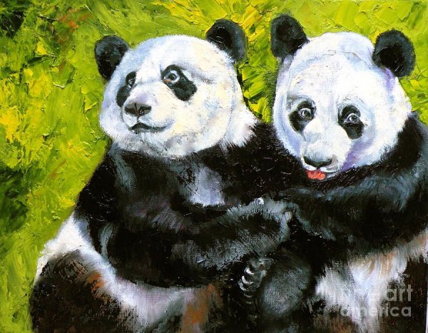 Панда живопись
