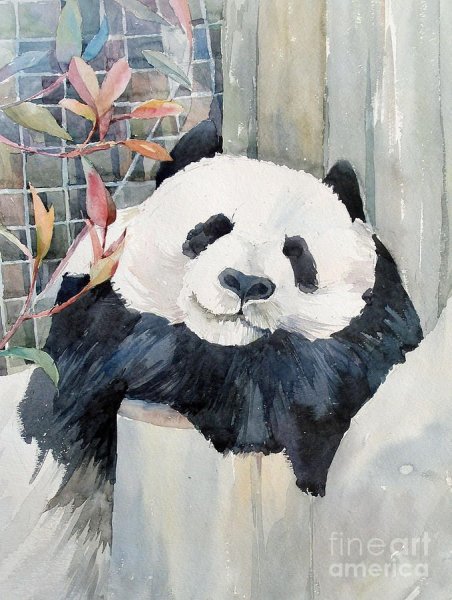 Панда живопись масло