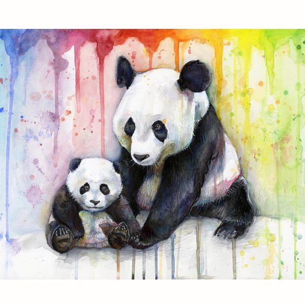 Панда рисунок акварелью