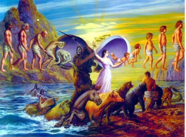 Реинкарнация. Ян Стивенсон.