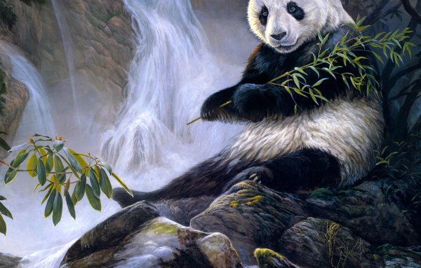 Картина акриловыми красками на холсте Панда